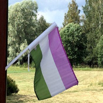 Genderqueer Aesthetic, Gender Queer Flag, Joey Gladstone, Queer Flag, Tmnt Au, Genderqueer Flag, Queer Pride Flag, Star Pasta, Flag Aesthetic