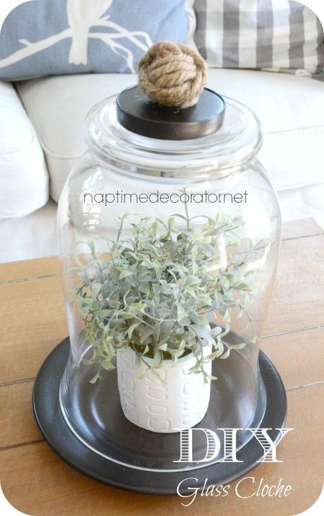 DIY Glass Cloche | Hometalk Cloche Decor, Garden Totem, Old Vases, Old Plates, Thrift Store Crafts, Glass Cloche, Beautiful Flowers Garden, Charming Garden, Upcycled Crafts