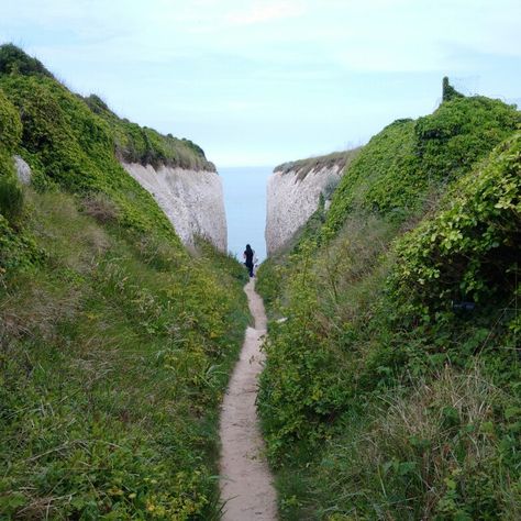 Botany Bay Botany Bay, Marriage Of Convenience, Regency Romance, High Tide, Botany, Country Roads, Romance, Road