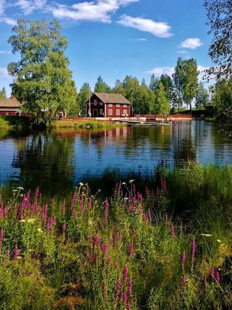 Sweden Summer Aesthetic, Sweden Aesthetic Summer, Swedish Summer Aesthetic, Scandinavian Summer Aesthetic, Swedish Cabin, Swedish Aesthetic, Sweden Aesthetic, Sweden Summer, Swedish Summer