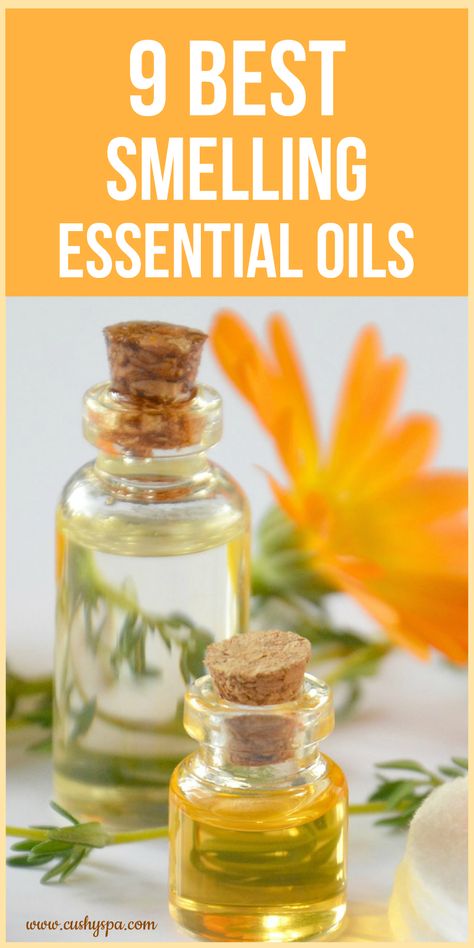 Here is another post on aromatherapy. To give you a few tips and get an idea of what essential oils you can buy that would smell good. (best smelling essential oils, best smelling essential oils to diffuse, best smelling essential oil blends, essential oils good smells, how to scent bath bombs, best scents for home, best scents for home products, aromatherapy smells, essential oil smell good, essential oil smell shoes) Best Smelling Essential Oils, How To Smell Good, Natural Remedies For Sunburn, To Smell Good, Making Essential Oils, Essential Oils For Hair, Essential Oil Scents, Best Essential Oils, Scented Oils