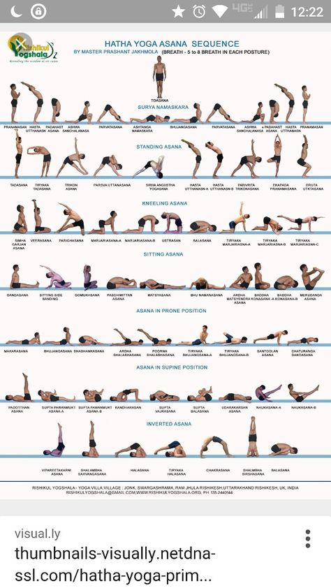 Bikram Yoga Poses, Hata Yoga, Yoga Flow Sequence, Yoga Ashtanga, Ashtanga Vinyasa Yoga, Yoga Vinyasa, Kriya Yoga, Poses For Beginners, Sup Yoga