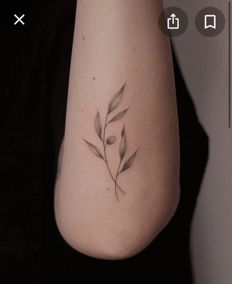 Tattoo Ideas Olive Branch, Olive Leaf Tattoo Design, Olive Leaves Tattoo Design, Fine Line Olive Branch Tattoo, Tattoo Olive Branch, Olive Leaf Tattoo, Olive Tree Tattoo, Rosemary Tattoo, Olive Tree Tattoos