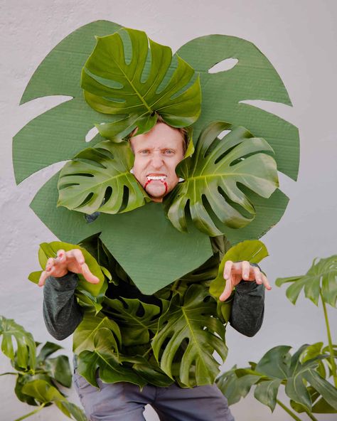 3 DIY Botanical-Themed Halloween Costumes - In Bloom Florist Blog Halloween Plant Costume, Upcycled Halloween Costumes, Plant Halloween Costumes Diy, Garden Theme Halloween Costumes, Plant Costume Kids, Flora And Fauna Costume, Tropical Halloween Costume, Crazy Plant Lady Costume, Diy Plant Costume