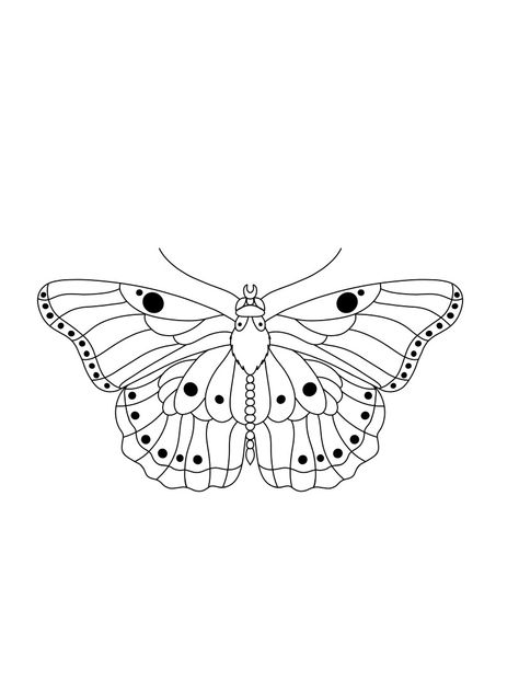 Tattoo sketch Buterfluffy Tattoo Harry Styles, Harry Styles Butterfly Tattoo Drawing, One Direction Inspired Tattoos, Hs Tattoo, Harry Styles Butterfly Tattoo, Harry Styles Inspired Tattoos, Butterfly Stencils, Harry Styles Butterfly, Tattoo Text