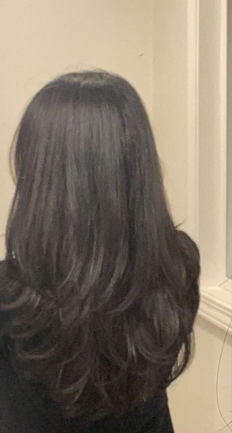 90s Layers Black Hair, Dark Brown 90s Hair, 90s Blowout Hair Long Brown, 90s Layered Hair Black, Black Hair 90s Blowout, 90s Blowout Wig, 90s Blowout Black Hair, Black Blowout Hairstyles, Blowout Hair No Layers