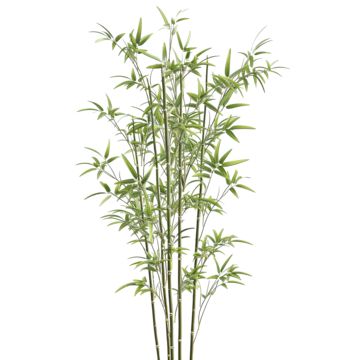 bamboo,bamboo-tree,bamboo-plant,green-bamboo,nature,green,flower,floral,tree,foliage,leaves,leaf,plant,watercolor,organic,3d,icon,blossom,background,bush,texture,grass,natural,summer,spring,chinese,fresh,eco,realistic,art Watercolor Bamboo, Bamboo Image, Blossom Background, Plant Watercolor, Plant Png, Bamboo In Pots, Foliage Leaves, Floral Tree, Water Grass