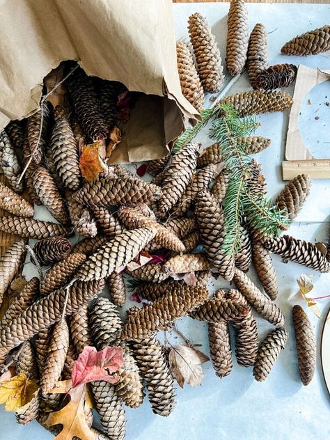 White Pine Cone Wreath, Christmas Pine Cone Wreaths Diy, Small Pine Cone Crafts, Long Pine Cone Crafts, Pinecone Christmas Wreath, Things To Make With Pinecones, Long Pinecone Crafts, Pinecone Garland Diy, Pine Cone Crafts Pinecone Decor