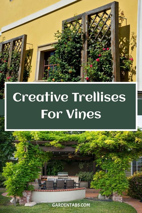 Creative Trellises for Vines Trellis Ideas For Privacy Climbing Vines, Vines On Trellis, Wall Trellis Ideas, Honeysuckle Trellis, Trellis Ideas Diy Climbing Vines, Trellis Ideas For Privacy, Unique Trellis, Ivy Trellis, Backyard Trellis