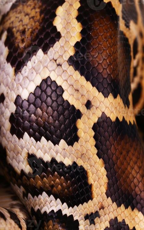 Textiles Inspiration, Close Up Art, Scales Pattern, Reptile Skin, Afrique Art, Fur Texture, Python Snake, Art Textiles, Snake Art