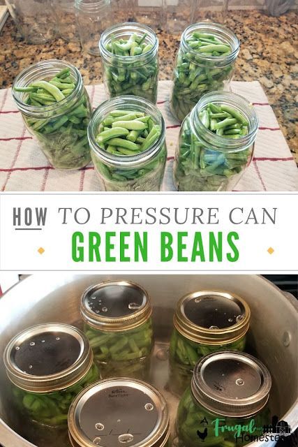 Learn how to can green beans with a pressure cooker and this simple tutorial and recipe. Pressure Can Green Beans, Green Beans Pressure Cooker, Pressure Canning Green Beans, Preserving Green Beans, Green Beans Easy, Canning Green Beans, Canned Green Bean Recipes, Fermenting Recipes, Pressure Cooker Beans