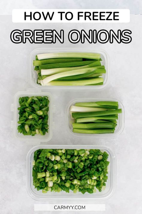 Got a bunch of green onions and can't use them all right away? Or want to have fresh green onions on hand at all time? Here's how to freeze green onions! How To Freeze Fresh Onions, Canning Green Onions, How To Preserve Fresh Green Onions, Freeze Vegetables How To, Things To Make With Green Onions, Green Onion Uses, Recipes That Use Green Onion, How To Use Green Onions, Freeze Onions How To