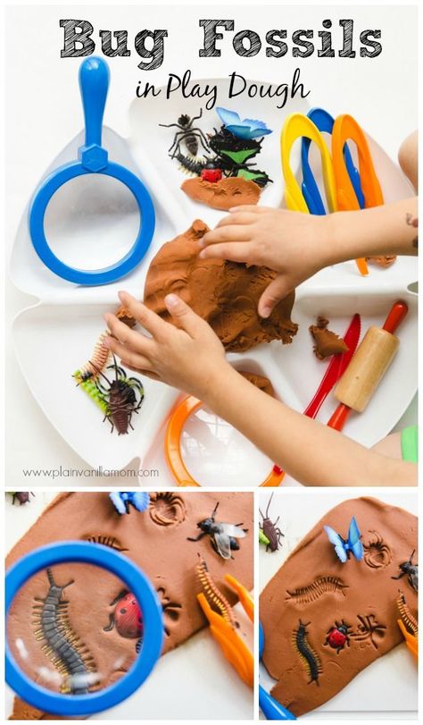 Bug Fossils, Play Dough Invitation, Bug Activities, Insects Preschool, Bugs Preschool, Playdough Activities, Playdough Kits, Invitation To Play, Preschool Science