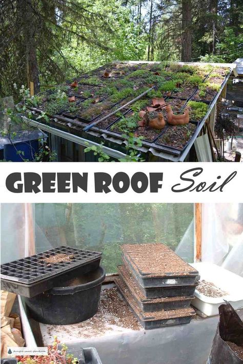 Earth Roof, Green Roof Planting, Eco Roof, Living Green Roof, Green Roof Design, Green Roof Garden, Green Roof House, Hardy Succulents, Green Roof System