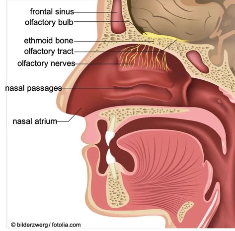 Clear Mucus From Throat, Mucus In Throat, Getting Rid Of Mucus, Clear Mucus, Sunburn Peeling, Sinus Drainage, Getting Rid Of Phlegm, Bad Cough, Throat Remedies