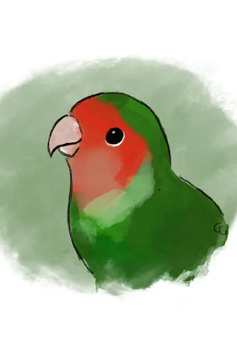 Cute Lovebird parrot sketch Cute Parrot Art, Lovebird Painting, Lovebird Drawing, Love Bird Drawing, Lovebird Tattoo, Love Birds Drawing, Lovebirds Art, Parrot Tattoo, Parrot Drawing