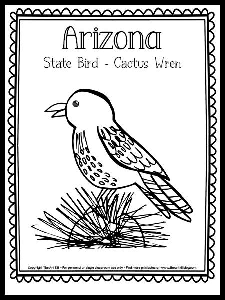 Arizona State Bird Coloring Page [Cactus Wren!] {FREE Printable!} - The Art Kit Bird Coloring Page, Cactus Wren, Page Az, Bird Coloring, The 50 States, Page Arizona, Bird Coloring Pages, Dog Coloring Page, State Birds