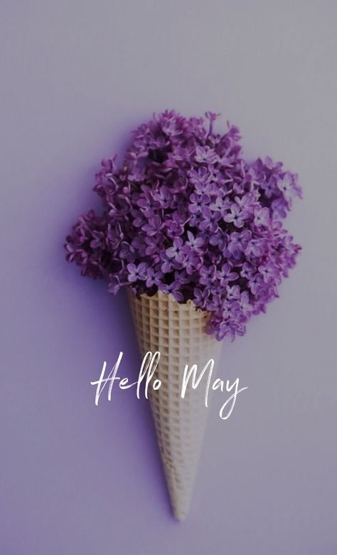 Hello May Wallpapers, Hello Mai, May Pictures, New Month Wishes, Neuer Monat, Welcome May, Month Quotes, Instagram Design Creative, Hello June