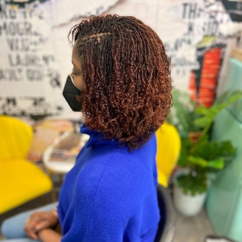 Micro Locs With Color, Sisterlocks Color, Colored Sisterlocks, Sisterloc Styles, Curly Hair Locs, Microloc Journey, Micro Locks, Dyed Locs, Sisterlocks Journey