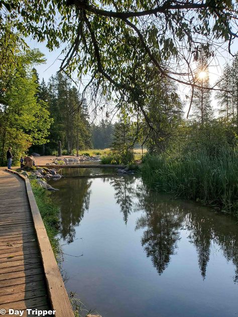 The Best Things to do at Itasca State Park 6 Minnesota Hiking, Mn State Parks, Itasca State Park, Hiking Club, Northern Minnesota, Great Books To Read, Minnesota State, Outdoor Enthusiast, Mississippi River