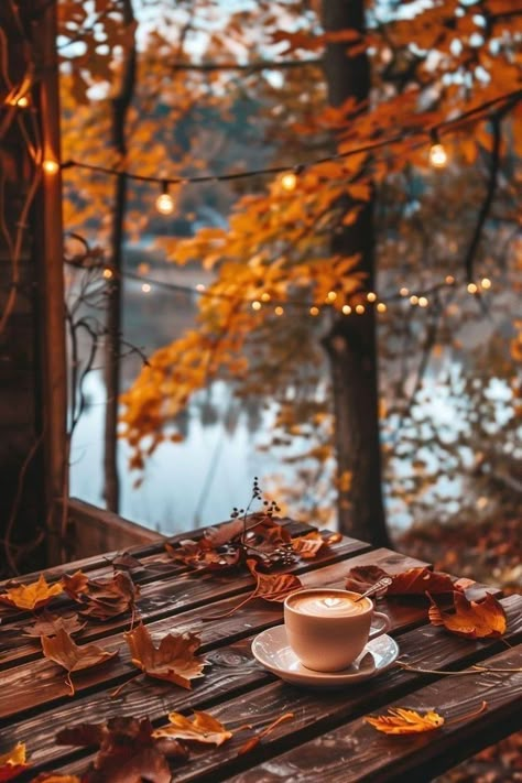 Fall Wallpapers, Autumn Wallpaper, Fall Mood Board, Autumn Magic, Autumn Love, Fall Mood, Aesthetic Picture, Autumn Scenes, Fall Inspiration