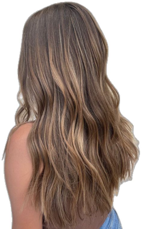 Highlights In Light Brown Hair, Low Maintenance Highlights, Dark Hair With Highlights, Light Brown Hair, Dark Hair, Hair Highlights, Low Maintenance, Hair Inspo, Brown Hair