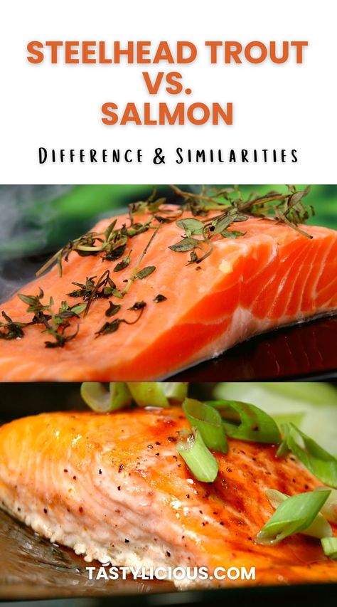 This article will help you differentiate steelhead trout from salmon and guide you on which fish meat is best for you. steelhead trout vs salmon taste | steelhead trout recipe | steelhead trout vs salmon health benefits | food hacks | cooking tips | kitchen hacks | cooking 101 | Healthy eating | brunch ideas Steel Head Trout Recipes Grilled, Cooking Steelhead Trout, How To Cook Steelhead Trout, Grilled Steelhead Trout, Steel Trout Recipes, Recipes For Steelhead Trout, Steelhead Salmon Recipes, Smoked Steelhead Trout Recipe, Steel Head Trout Recipes Baked