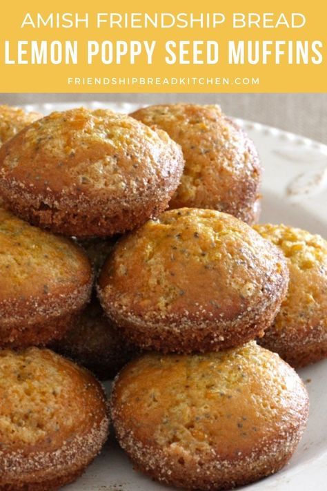 These Lemon Poppy Seed Amish Friendship Bread Muffins are great mid-morning snacks for busy people on the go. Amish Muffins, Amish Bread Recipes, Morning Snacks, Amish Friendship Bread Starter Recipes, Friendship Bread Recipe, Friendship Bread Starter, Amish Bread, Amish Friendship Bread, Lemon Poppyseed Bread