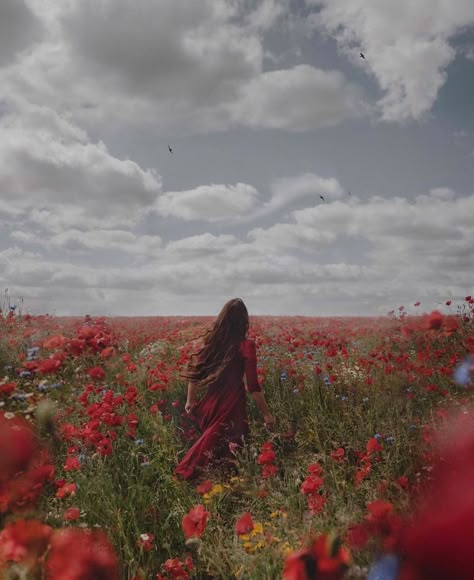 Person Photography, Wildflowers Photography, Bees And Butterflies, Wildflower Field, Flower Photoshoot, Dreamy Photography, Fairytale Photography, Visual Aesthetics, Cute Photography