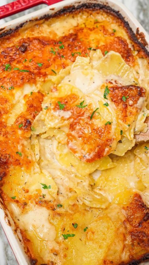 Cheesy Potatoes au Gratin (VIDEO) Box Au Gratin Potatoes Recipes, Cheesy Potatoes Au Gratin, Crockpot Potatoes Au Gratin, Potatoes Au Gratin Easy Quick, Potatoes Au Gratin Easy, Augratin Potatoes Recipe, Cheesy Potatoes Casserole, Best Cheesy Potatoes, Sides Potatoes