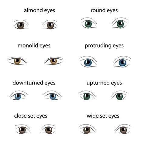 Eye Shape Chart, Different Types Of Eyes, Protruding Eyes, Wide Set Eyes, Shape Chart, Almond Shaped Eyes, Almond Eyes, Eye Chart, Heavy Makeup