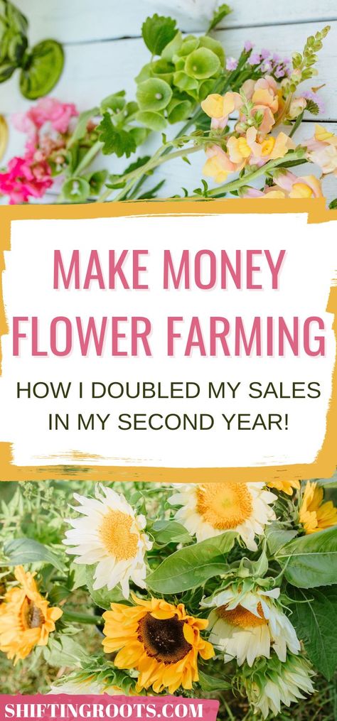 Are you a cut flower lover looking to start a flower farming business? Or a first-year flower farmer with dreams of expanding your business? Here's how I doubled my sales in my second year of flower farming! If I can do it, you can too! Peony Farm, Growing Cut Flowers, Flower Garden Plans, Flower Farming, Cut Flower Farm, Money Flowers, Farming Business, Cottage Garden Design, Flower Business