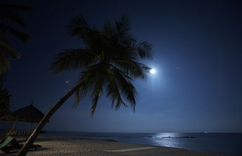 beach at night