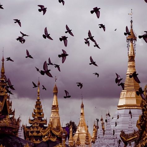 Pigeons above the Golden Pagodas, Bago, Myanmar