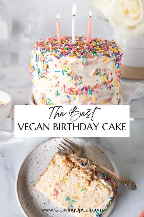 Vegan Sprinkle Cake, Vegan Unicorn Cake, Raw Birthday Cake, Best Vegan Birthday Cake, Dairy Free Birthday Cake Recipe, Vegan Birthday Cupcakes, Vegan Confetti Cake, Vegan First Birthday Cake, Vegan Cakes Birthday