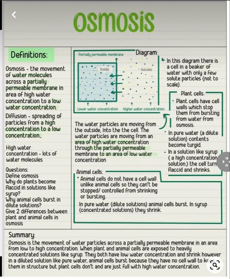 Biology Notes Osmosis, Osmosis Revision Notes, Biology Osmosis Notes, Biology Flashcards Gcse, Osmosis Notes Biology, Gcse Science Notes, Gcse Science Revision Biology, How To Revise For Science, Biology Notes Igcse