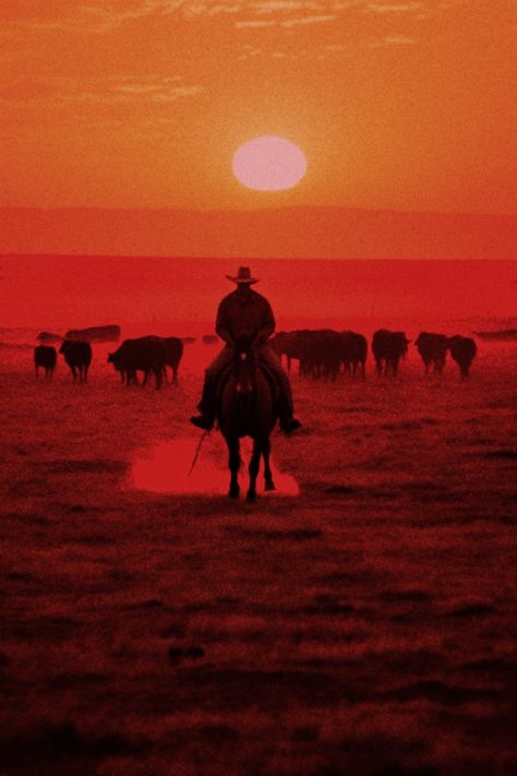 #western #gothicwest #cowboy #wildwest #reddeadredemption2 #horses #ranch #sunset #redskies #americana #bloodmeridian #cinematic #filmphotography #wilderness #midwest #southwest #unsettling #horror Old West Landscape, Old West Aesthetic, Old Western Aesthetic, Western Shootout, Unsettling Horror, Western Horror, Ranch Sunset, Americana Photography, Horror Western