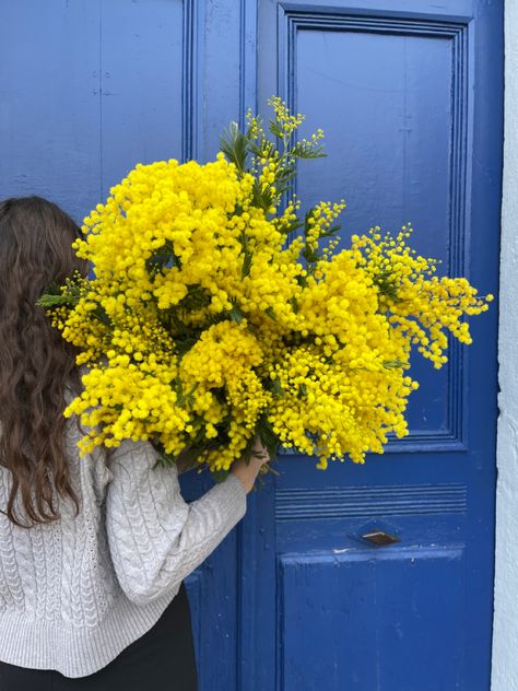 Mimosa Flower Aesthetic, Mimosa Aesthetic, Mimosa Flower, Spring Illustration, Mimosa, Dandelion, Beautiful Flowers, Instagram Story, Fragrance