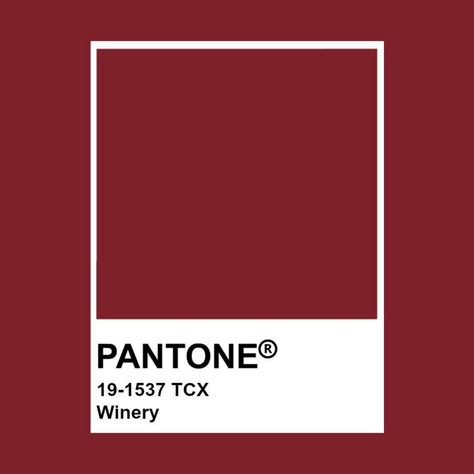 Color Red Aesthetic, Pantone Burgundy, Pantone Tcx, Colour Names, Red Color Palette, Red Outfits, Bordeaux Color, I See Red, Red Colour Palette