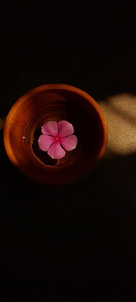 Bengali Aesthetic, Well Paper, Flowers Dp, Streets Photography, Girl Shoulder Tattoos, Lotus Painting, Nature Photography Flowers, Desi Love, Shoulder Tattoos