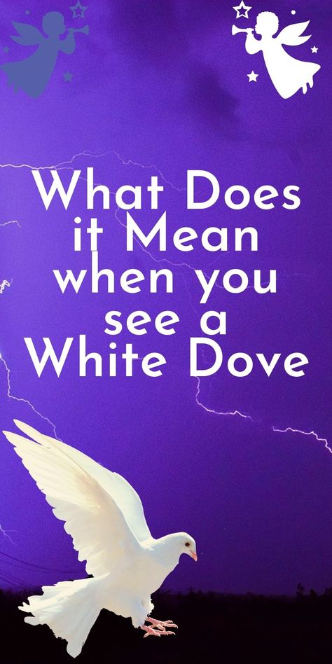 What Does it Mean When you See a White Dove? Symbolism and Spiritual Meaning - Totally the Dream Dove Symbolism, Symbol Of Peace, The Dove, Dream Symbols, Dream Meanings, White Dove, Peace Dove, White Doves, Spiritual Meaning