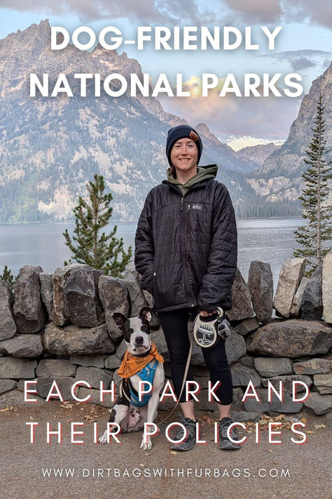 So, which National Parks are dog-friendly? This article will guide you through all the dog-friendly National Parks in all 50 states, so you know which ones you can bring your pup along. Dog Friendly Camping, Dog Friendly California Road Trip, Dog Friendly National Parks, Dog Friendly Travel, Pacific Northwest Road Trip, Northwest Road Trip, La Hikes, Road Trip With Dog, Utah National Parks Road Trip