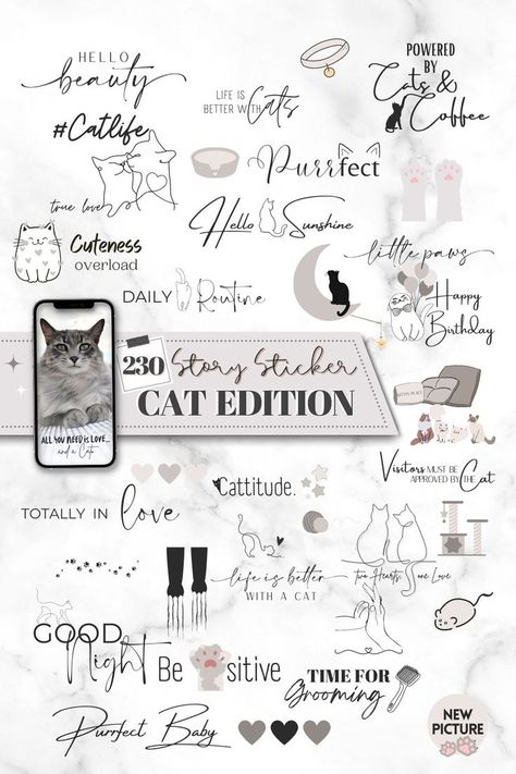 Instagram Elements, Instagram Story Sticker, Story Sticker, Boyfriend Instagram, Gif Instagram, Coffee Instagram, Kitty Love, Cat Stories, Kitten Love