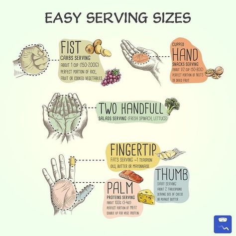 Portion Size Guide, Serving Sizes, Portion Sizes, Cooked Vegetables, Serving Size, Get In Shape, Healthy Habits, Size Guide, Health And Wellness