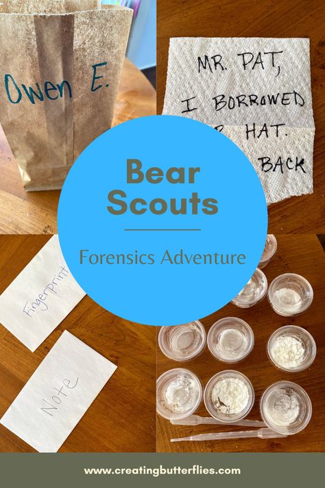 Beaver Scouts Activities Badges, Bear Scout Activities, Cub Scout Bear Requirements, Scouts Activities, Cub Scout Games, Boy Scout Activities, Teaching Styles, Beaver Scouts, Cub Scouts Wolf