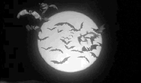 Bat Gif, Emo Gif, Girl Vampire, Perfect Lady, Black And White Gif, Devil Aesthetic, Motion Wallpapers, Moon Icon, Trad Goth