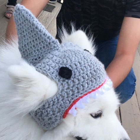 Crochet Dog Hat, Dog Hats, Crochet Dog Clothes, Crochet Pour Halloween, Crochet Shark, Shark Hat, Crochet Dog Patterns, Animal Hats, Dog Hat