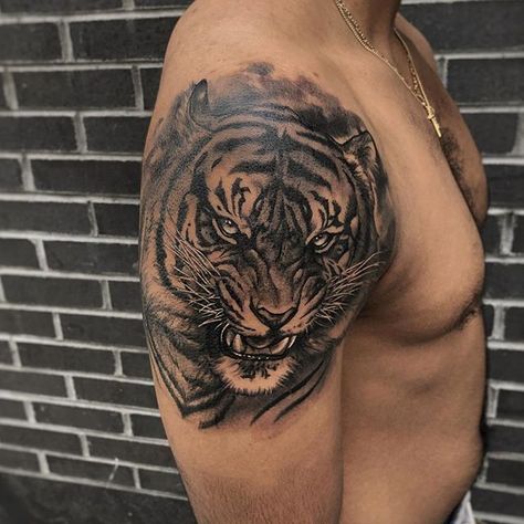 Tiger Tattoo Shoulder, Tiger Shoulder Tattoo, Roaring Tiger Tattoo, Polka Tattoo Designs, Boxer Tattoo, Lion Shoulder Tattoo, Name Tattoos On Arm, Trash Polka Tattoos, Jungle Tattoo