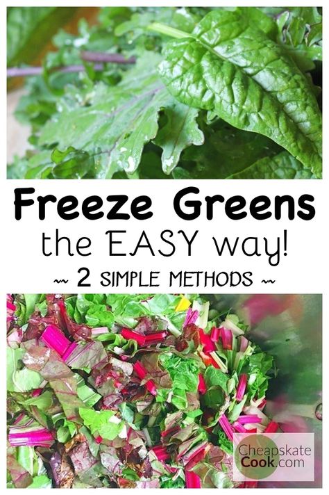 How To Freeze Kale, Freezing Beets, Freezing Kale, Freezing Vegetables, Celery Recipes, Radish Greens, Prevent Food Waste, Freeze Greens, Clean Eating For Beginners