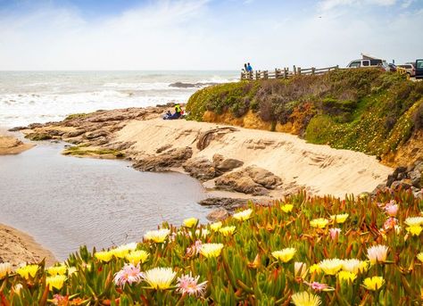 Pescadero California, Old Tavern, California Travel Guide, Goat Farm, A Goat, New England Style, Tide Pools, Ocean Views, Picnic Area